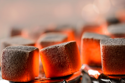 coconut charcoal briquettes fillo